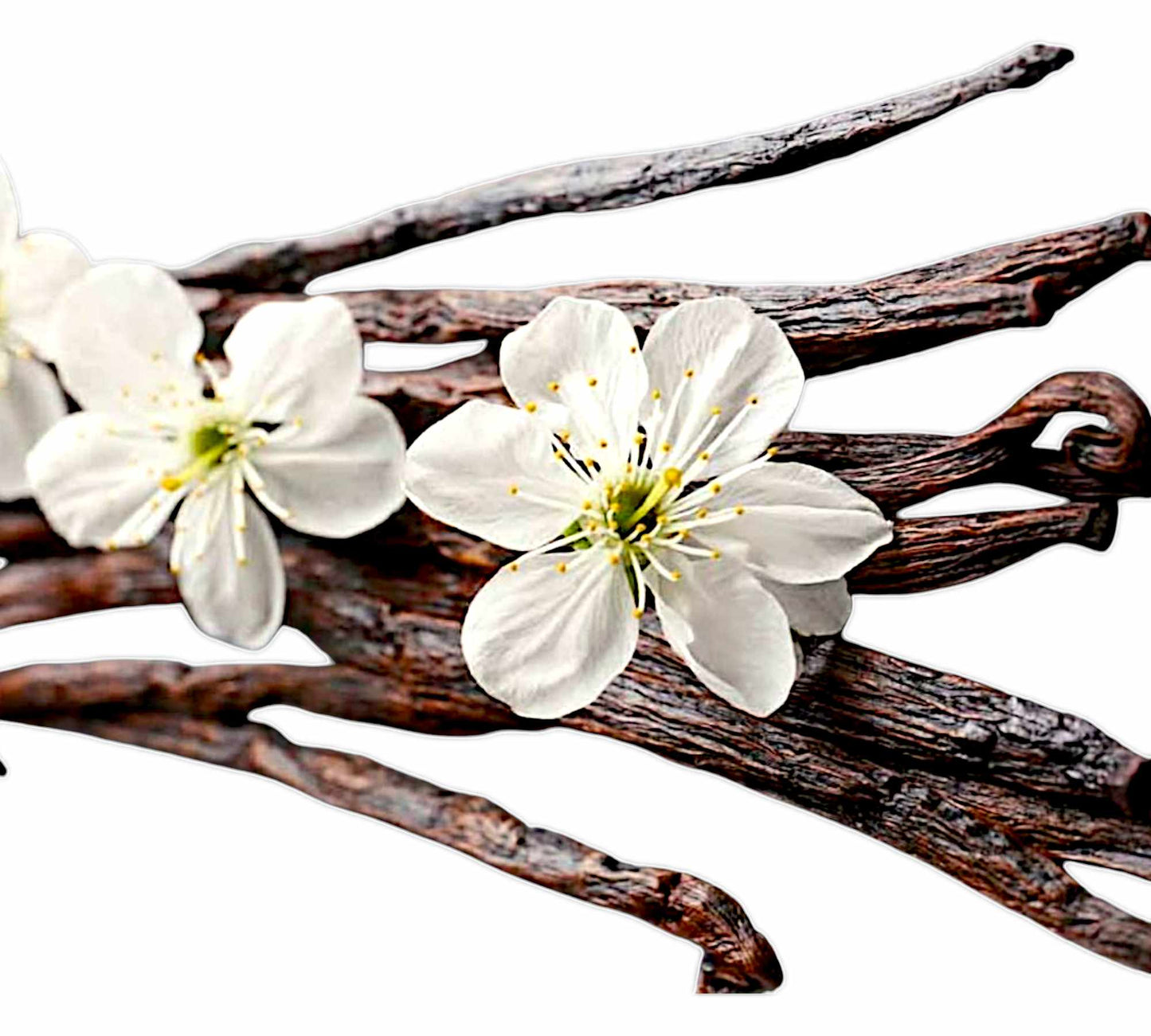 Reed Diffuser Γλυκά & Κρεμώδη Αρώματα 100ml