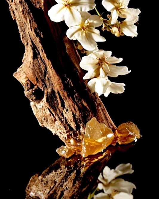 Caramel Orchid Body Cream 180-200g