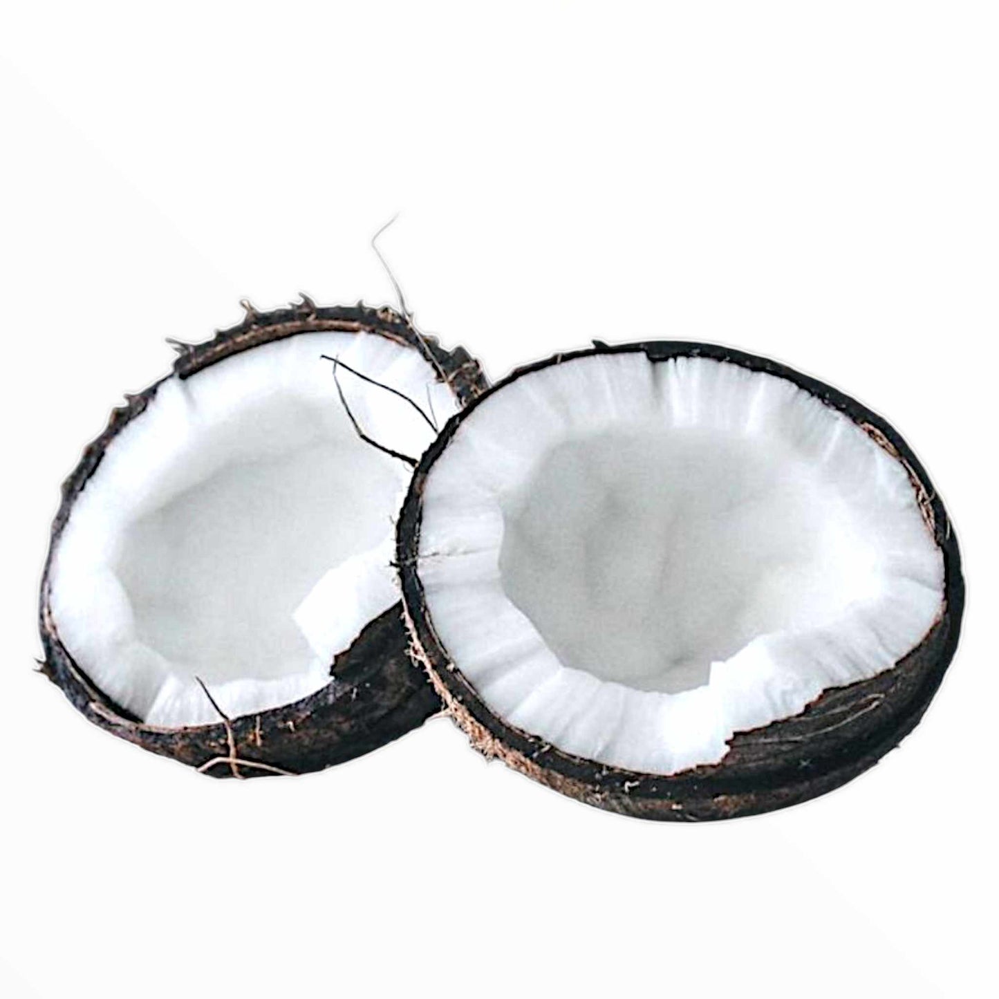 Black Coconut