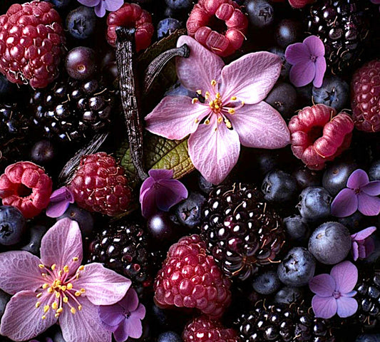 Vanilla & Berries