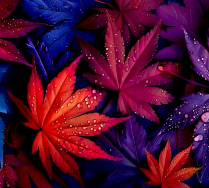 Midnight Bloom