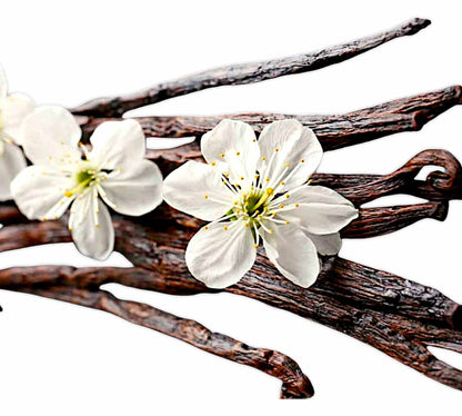 Blooming Flower - 170g