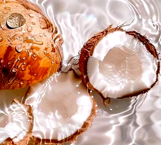 Αρωματική Ταμπλέτα για Ντουλάπα - Άρωμα Coconut Water