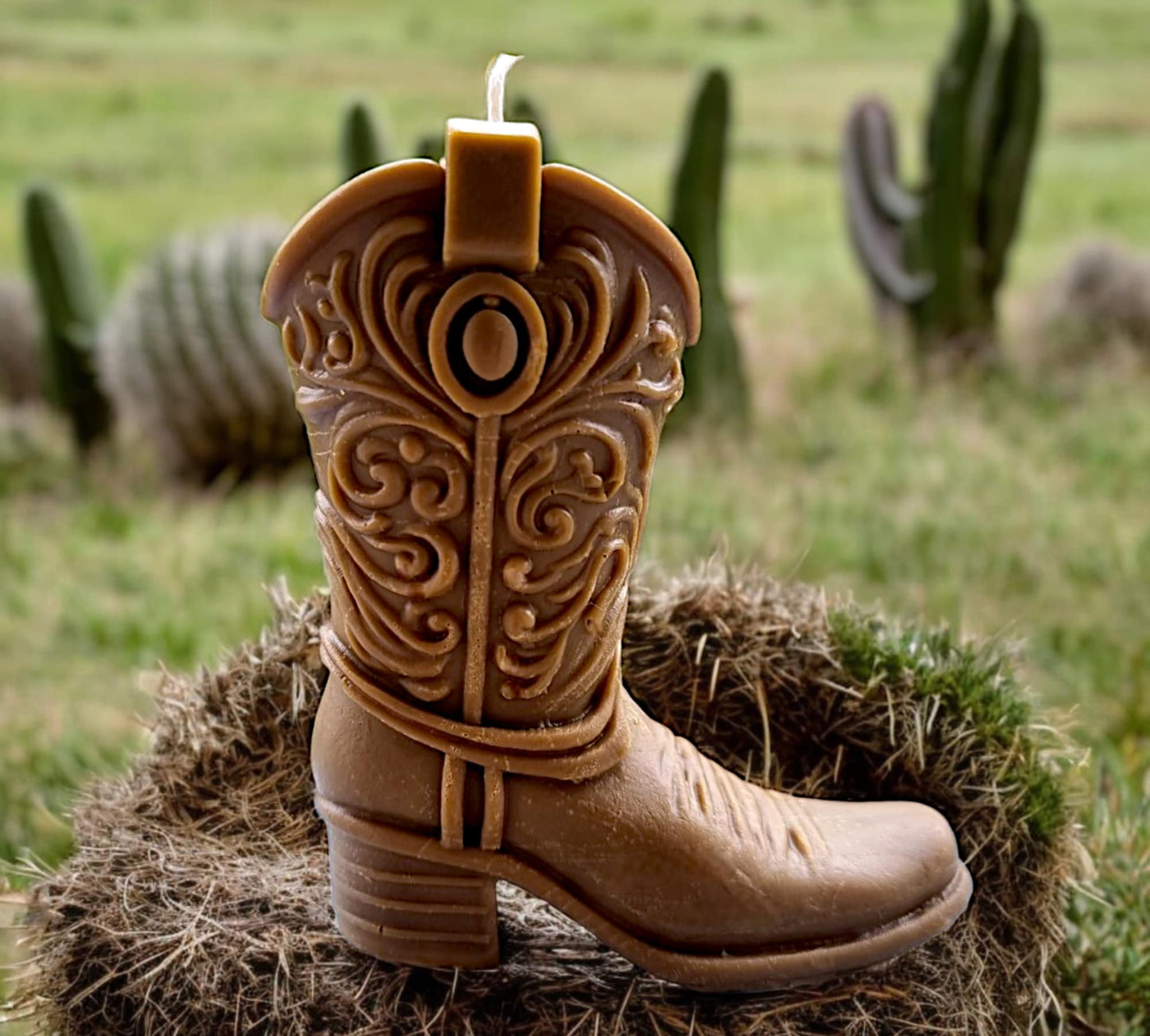 Western Touch