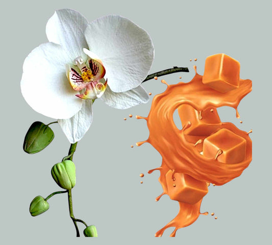 Caramel Orchid Shimmer Body Cream 180-200g